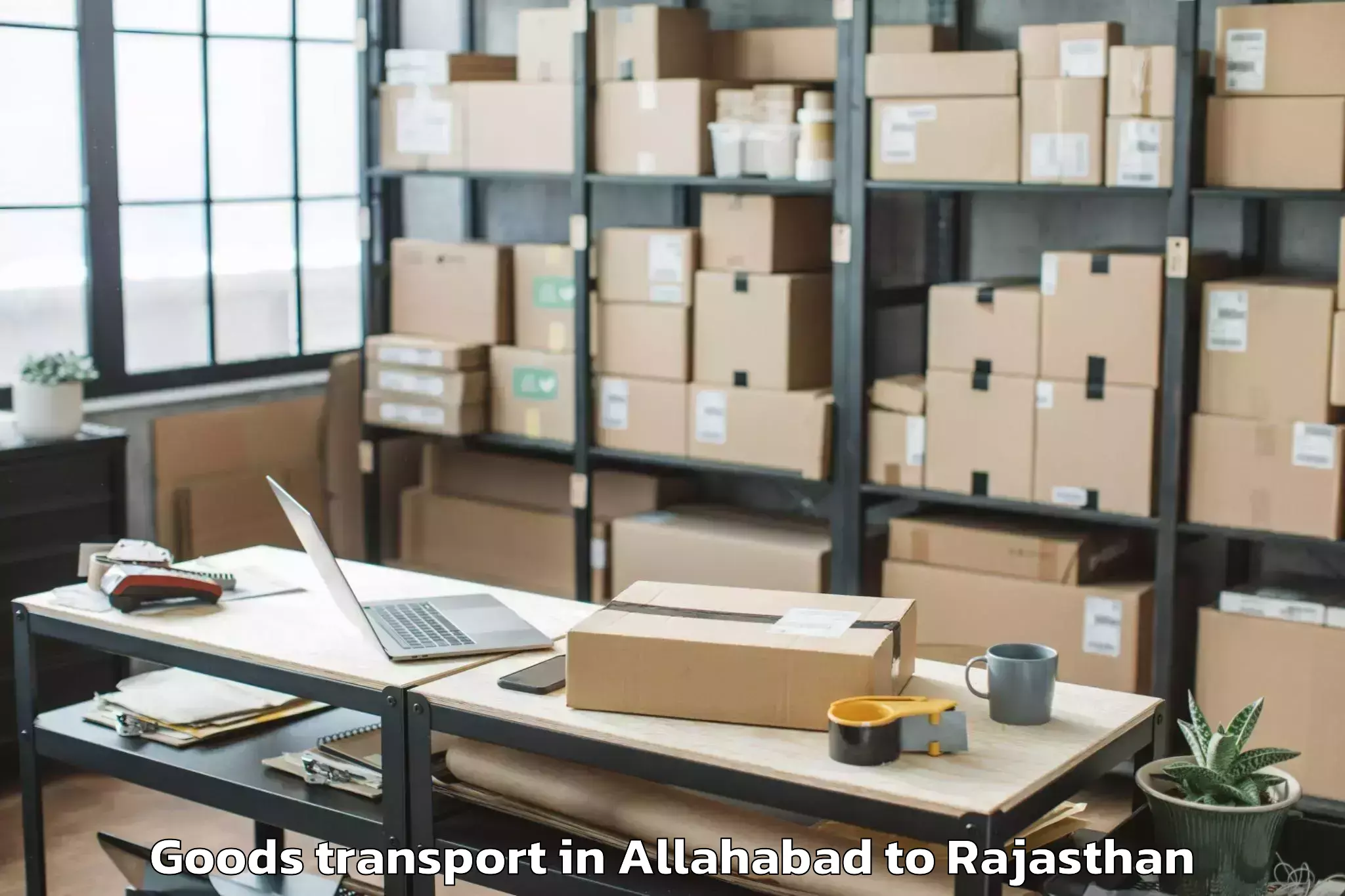 Expert Allahabad to Sagwara Goods Transport